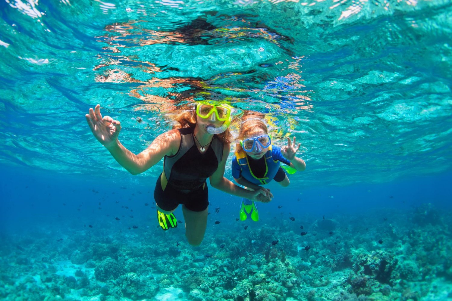 Snorkelling in Jamaica